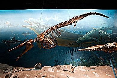 3D日式角色扮演游戏《ALZARA Radiant Echoes》Steam页面 支持简中