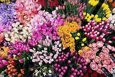 WolfEye：《诡野西部》玩家破两百万